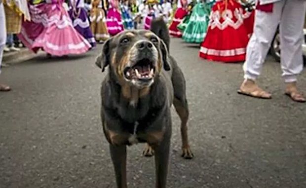 Mazapán