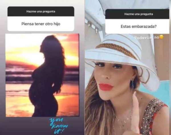 Ninel Conde desea ser madre nuevamente a sus 44 años ...