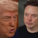 Elon Musk: ‘Sin mí, Trump habría perdido las elecciones’