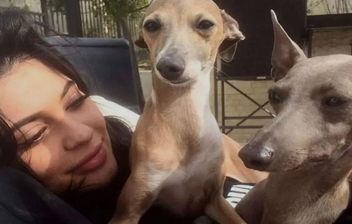 Kylie con sus perros